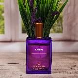 Духи и туманы