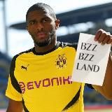 BZZ BZZ LAND | Borussia Dortmund