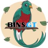 𝗕𝗜𝗡𝗦 𝗚𝗧『』