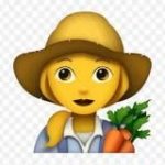 Дорожная карта FiD