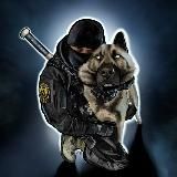 Animalpolice.ru