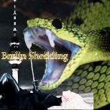 SHEDDINGTOXIC SPIKESIMPFGERUCH5G