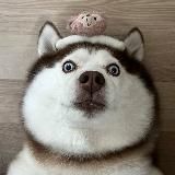 胸部 大奶 奶子 鉴赏