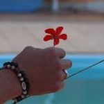 Ірина Блонська в Києві