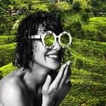 South Ceylon Rent аренда на Шри-Ланке с 2018