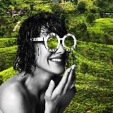 South Ceylon Rent аренда на Шри-Ланке с 2018