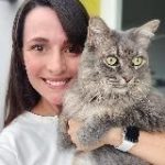 Входящее от journallina