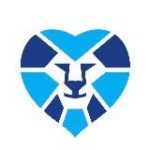 Волонтеры Зенита