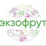 ЭкзоФрут