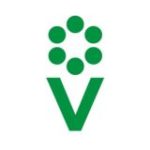 Процветок чат