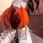 чернослив и курага