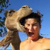 Funny Videos Crazy World