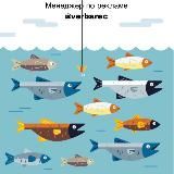 Все о Рыбалке | ЛайфХаки | Советы