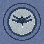 НЕЙРОВИЗУАЛ/ Стрекоза