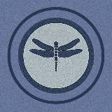 НЕЙРОВИЗУАЛ/ Стрекоза