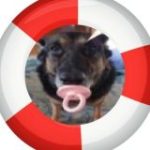 СПАСАТЕЛЬНЫЙ КРУЖОК