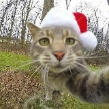 КРУЖКОВАТЫЧ