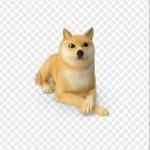 Закупился на хаях