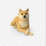 Закупился на хаях