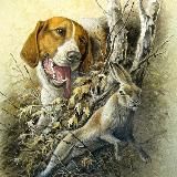 Охота * Рыбалка * Мужская Сталь