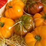 One Good Future – Der Kanal für Selbstversorger