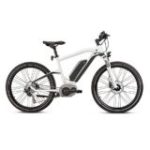 Bicicletas Eléctricas (eBikes)