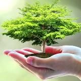 Bleib natürlich gesund