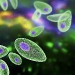 «Паразитоз» – официальный информационный канал доктор