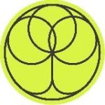 Прямые инвестиции