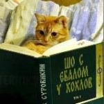 ZD (Записки Добровольцев)