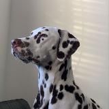 News | Speed Up  • Sped Song  • Slowed Reverb