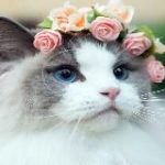 МЕГА СКИДКА – ЛОВИМ ВЫГОДУ