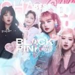 Blackpink • Best Blinks