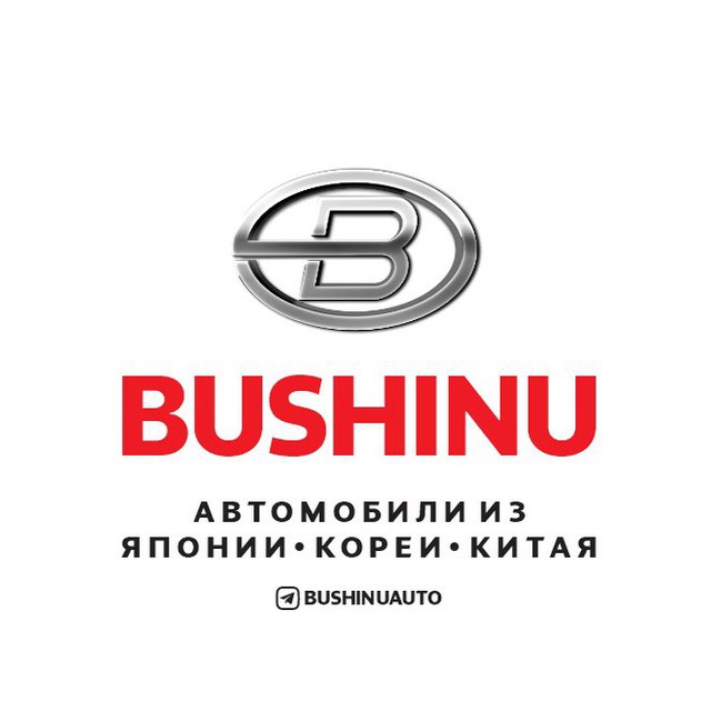 BUSHINUAUTO