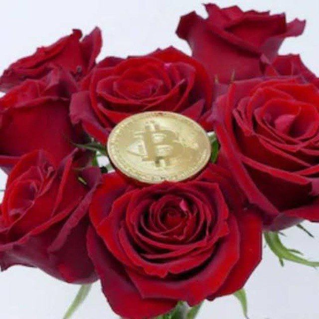 Rose Challenge – 0.1BTC to 100BTC