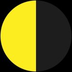 СУСПІЛЬНЕ НОВИНИ