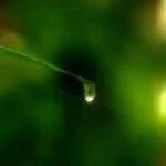 Alles was du zum Leben brauchst