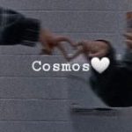 Qashqirlar Makoni Pistirma | POLAT ALEMDAR