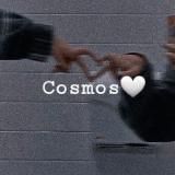 Qashqirlar Makoni Pistirma | POLAT ALEMDAR