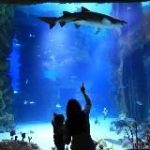 ЯРКИЕ БУДНИ