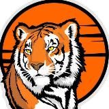 Владивосток Новости Сейчас | Приморский край VDK_Tiger