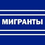 Мигранты – всё как есть