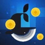 WB SHOP – Топ Подборки