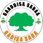GAADDISA SABAA