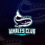 Whales Club – News