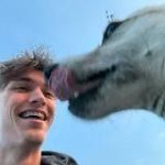 абсурд виктора