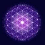 The Awakened Species