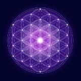 The Awakened Species