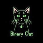 Двоичный кот
