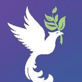 Студия Феникс